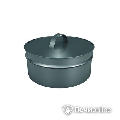 Заглушки Теплов и Сухов Заглушка ревизии Термо-Р 304 0.5 D300(200) в Белгороде