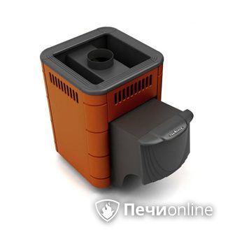 Дровяная банная печь TMF Оса Carbon терракота дверь антрацит в Белгороде